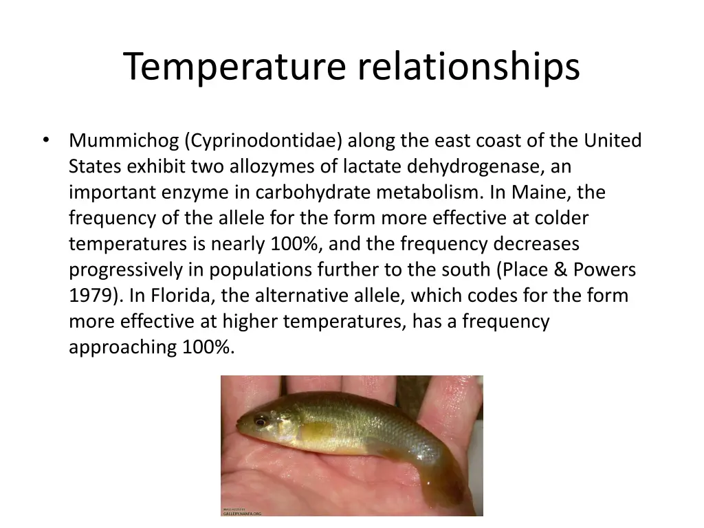 temperature relationships 1