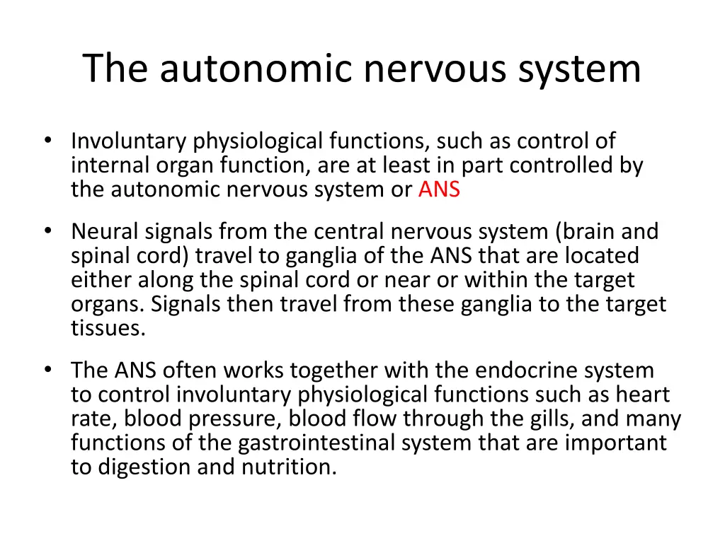 the autonomic nervous system