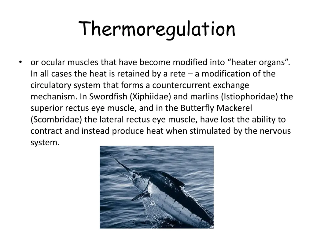 thermoregulation