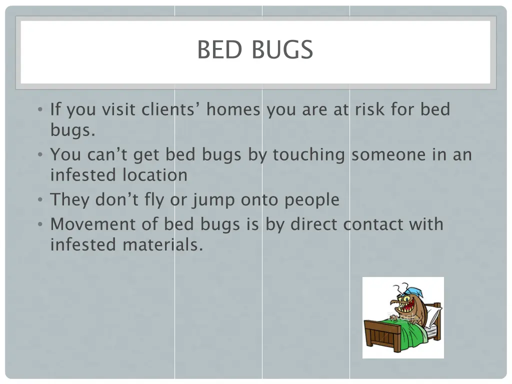 bed bugs 1