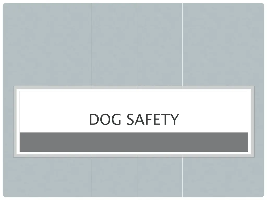 dog safety