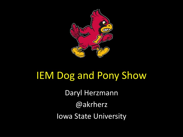 iem dog and pony show