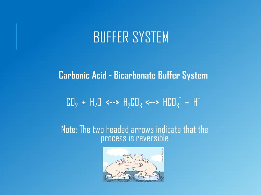 buffer system