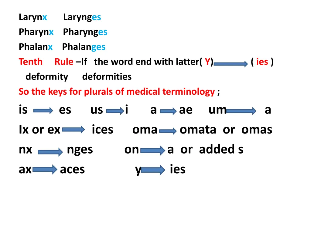 larynx pharynx pharynges phalanx phalanges tenth