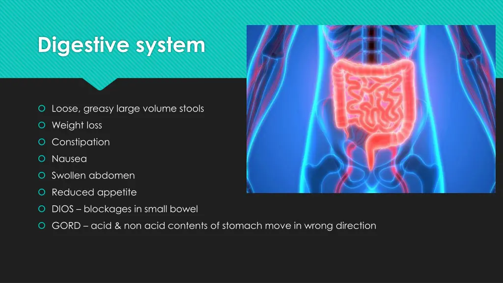 digestive system