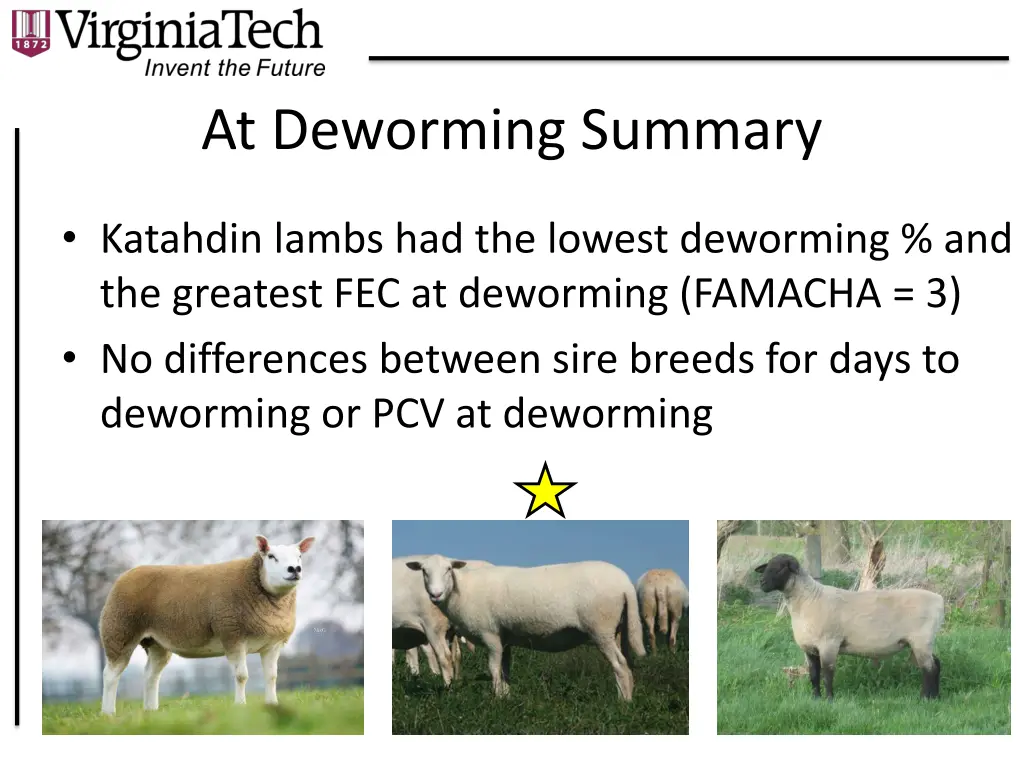 at deworming summary