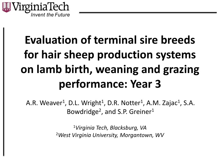 evaluation of terminal sire breeds for hair sheep