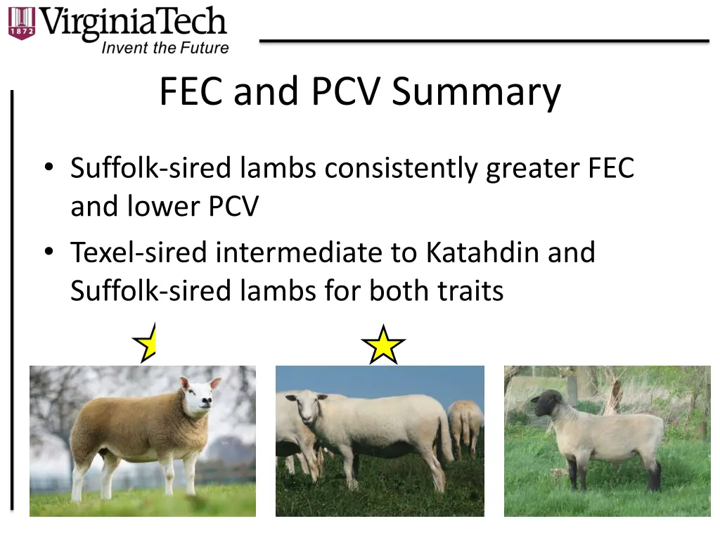 fec and pcv summary