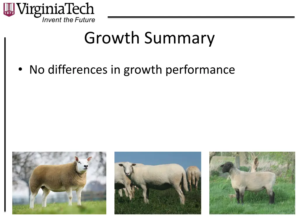 growth summary