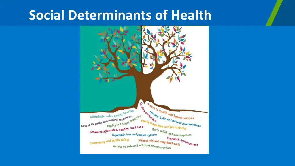 social determinants of health