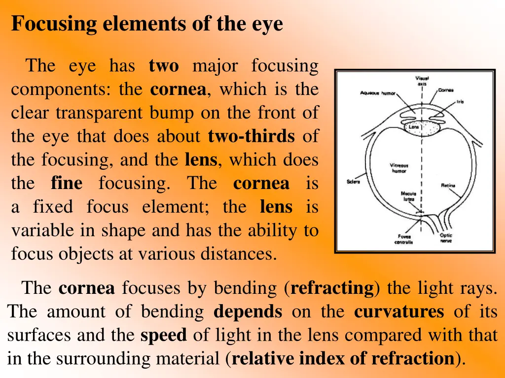 focusing elements of the eye