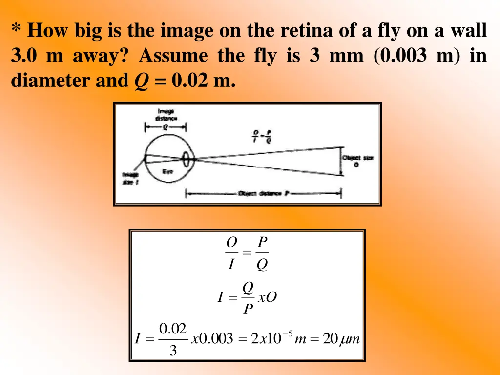 how big is the image on the retina