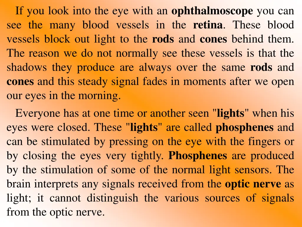 if you look into the eye with an ophthalmoscope