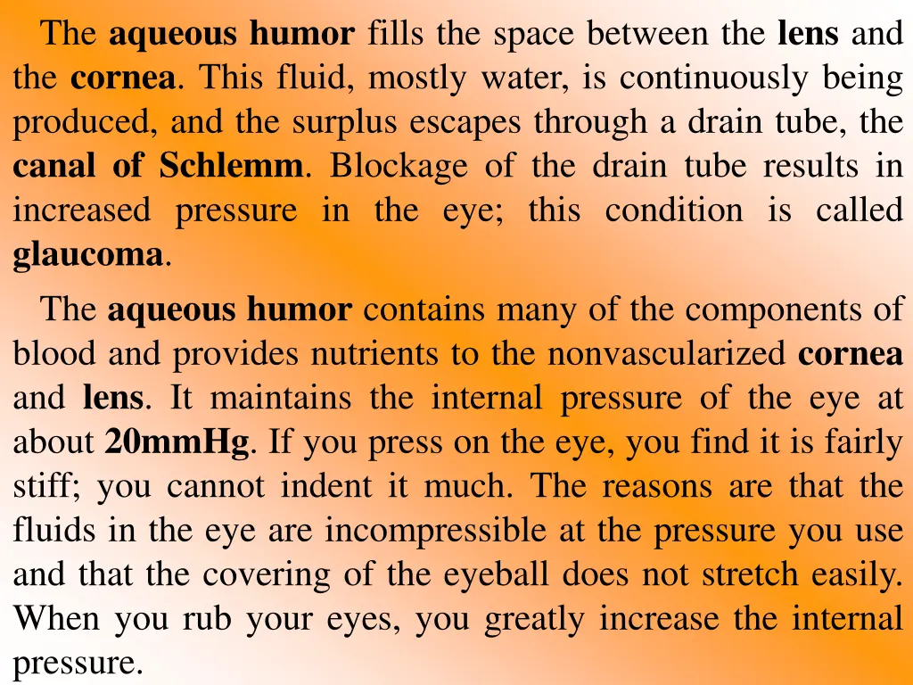 the aqueous humor fills the space between