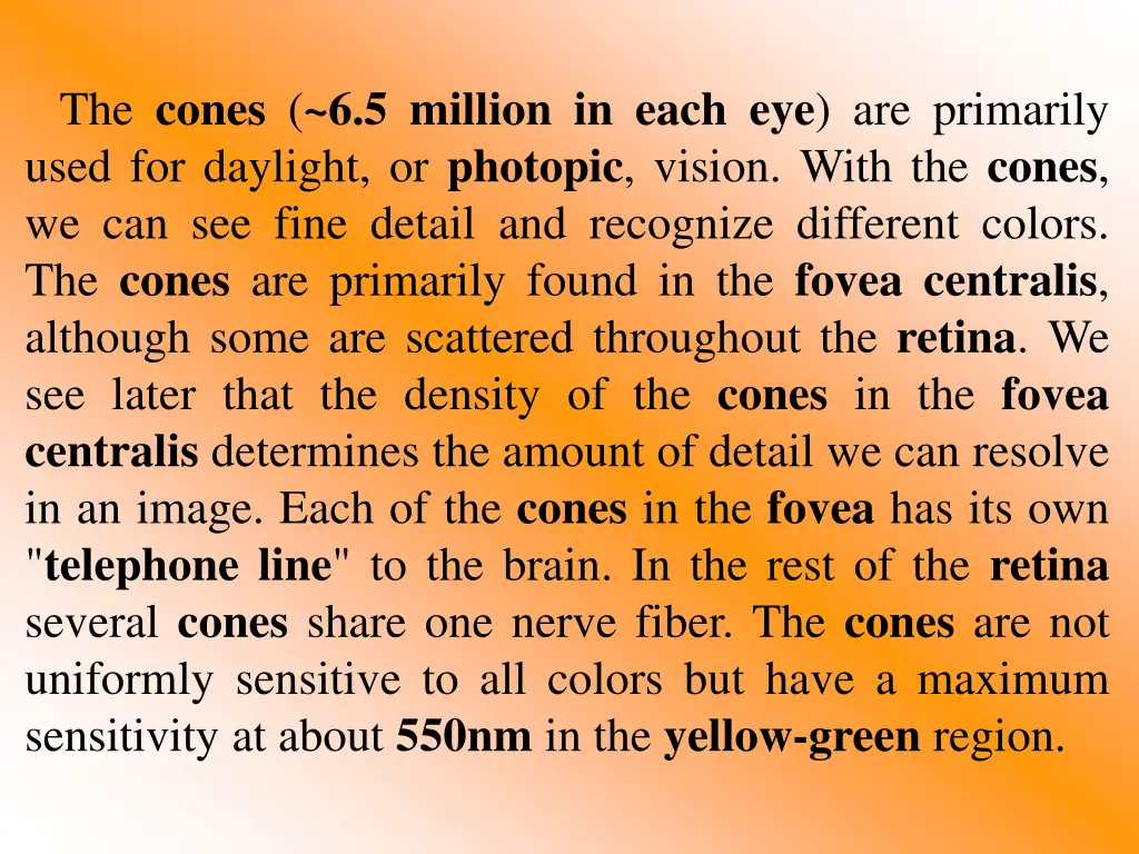 the cones 6 5 million in each eye are primarily