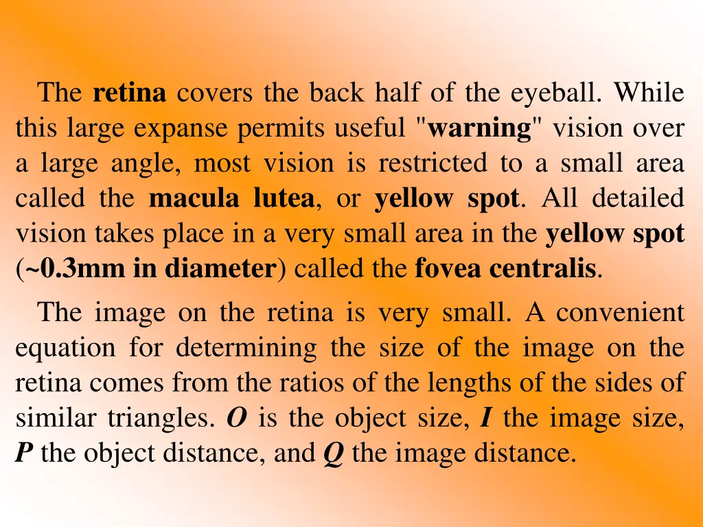 the retina covers the back half of the eyeball