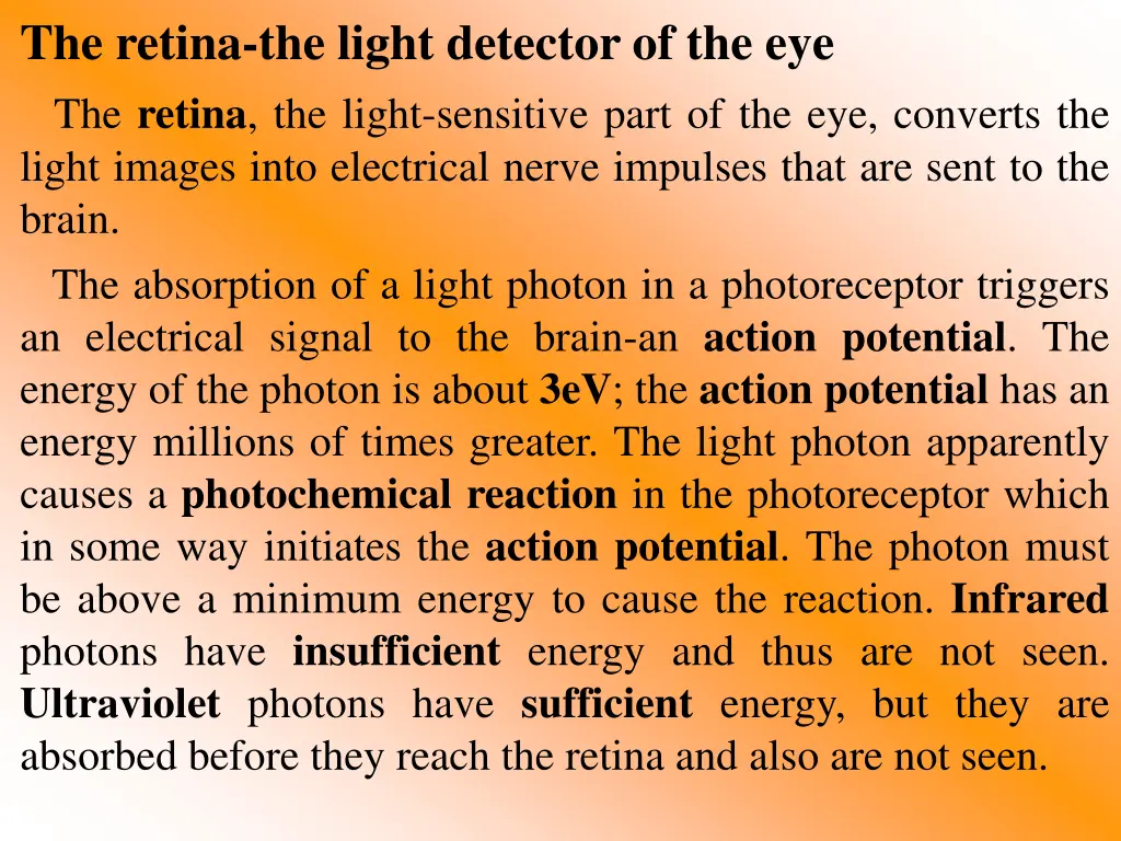 the retina the light detector