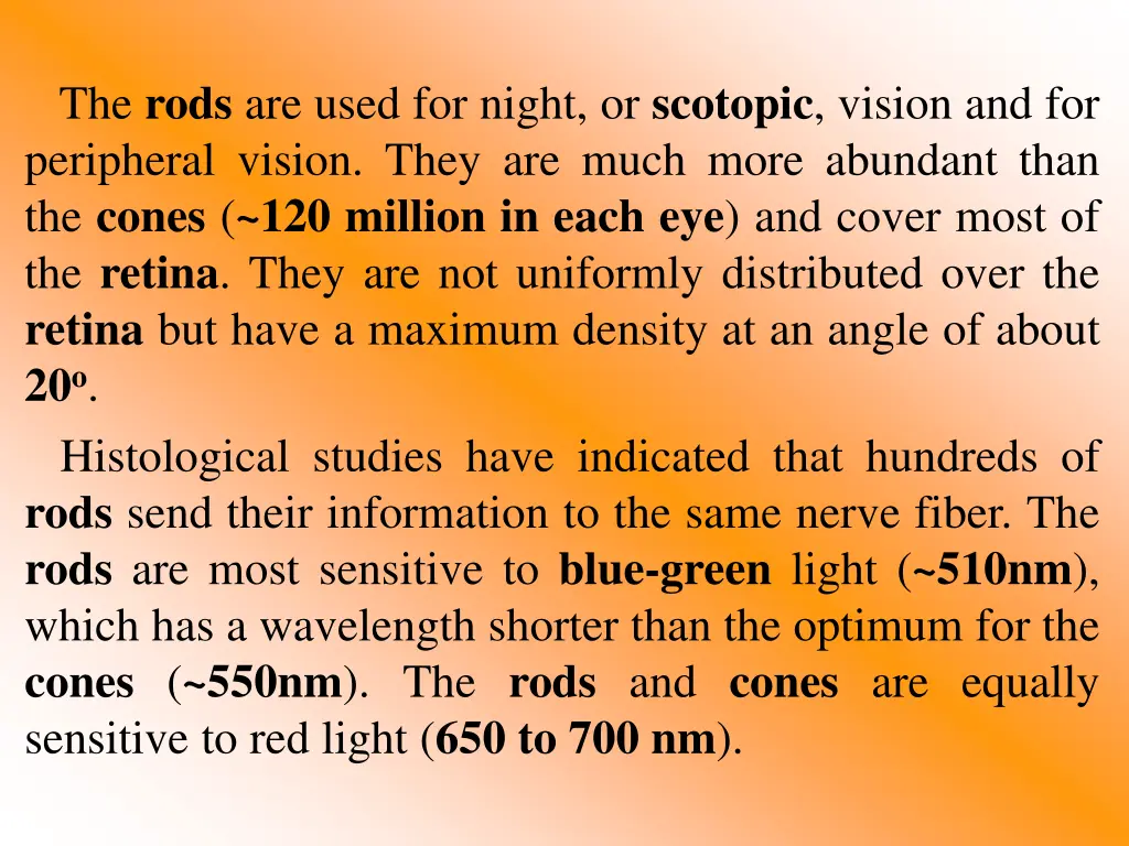 the rods are used for night or scotopic vision