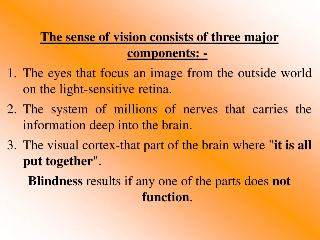 the sense of vision consists of three major