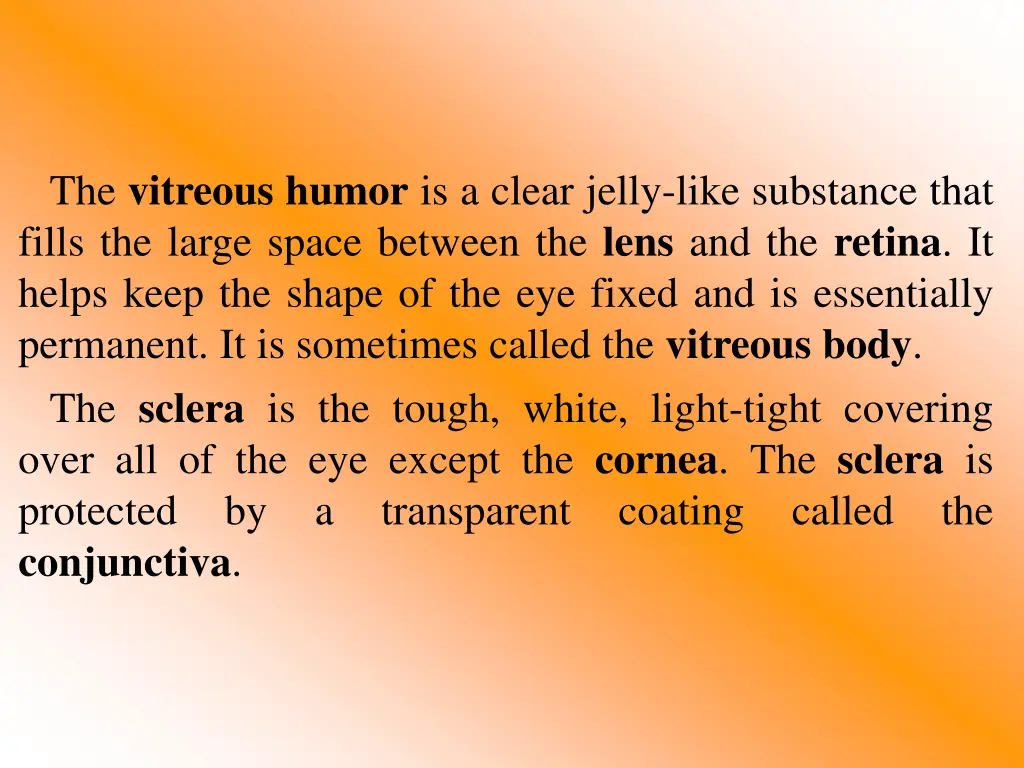 the vitreous humor is a clear jelly like