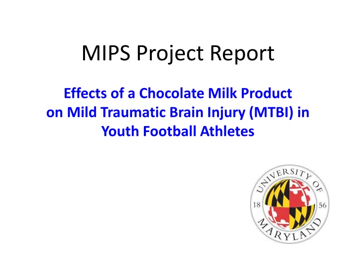 mips project report