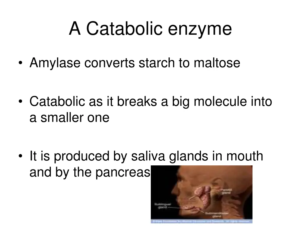 a catabolic enzyme