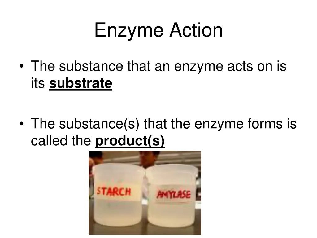 enzyme action