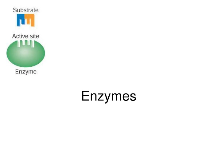 enzymes