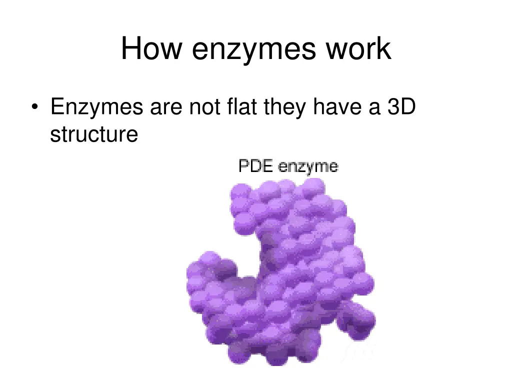 how enzymes work