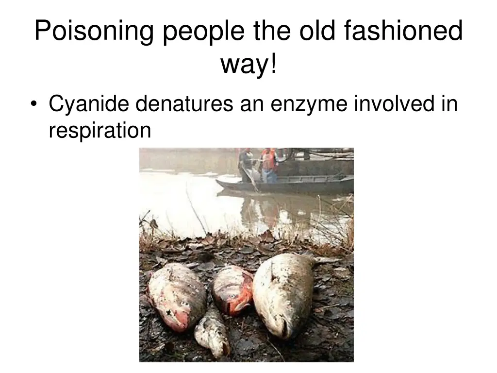 poisoning people the old fashioned way cyanide