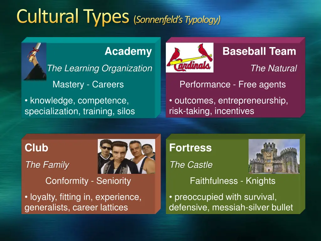 cultural types sonnenfeld s typology