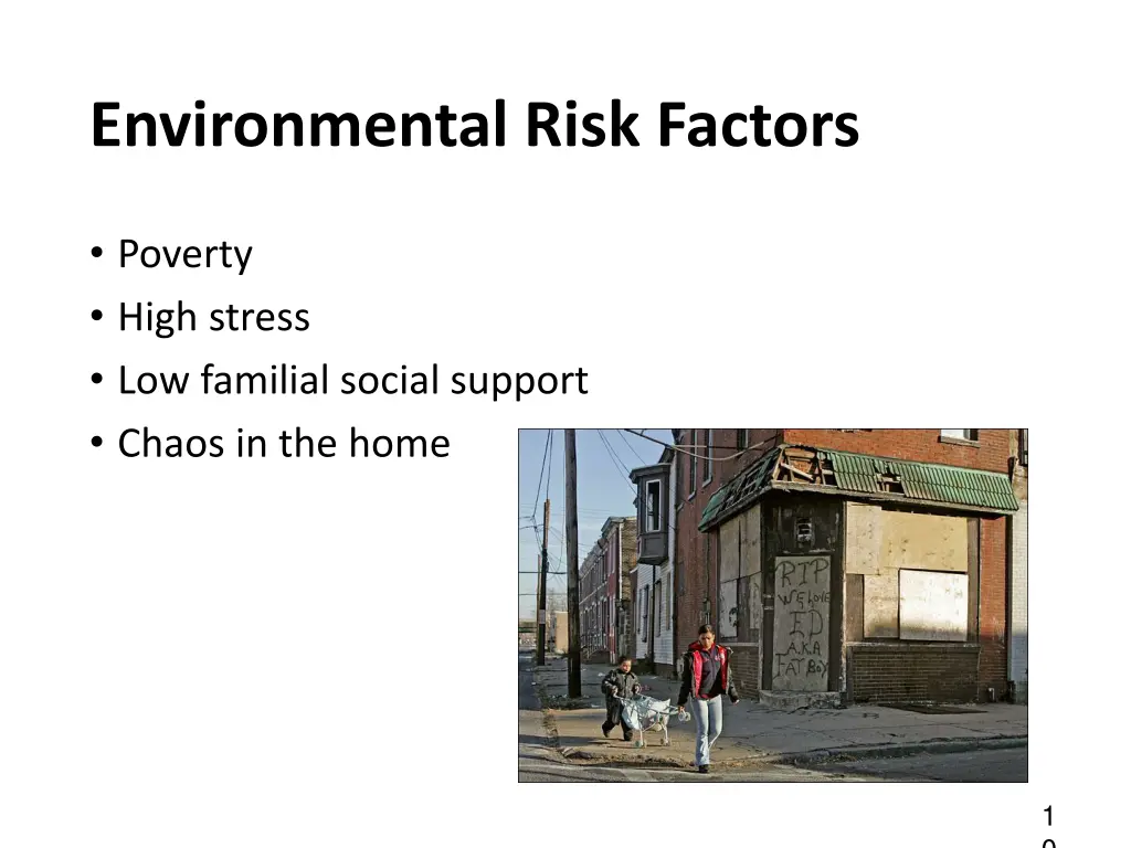 environmental risk factors