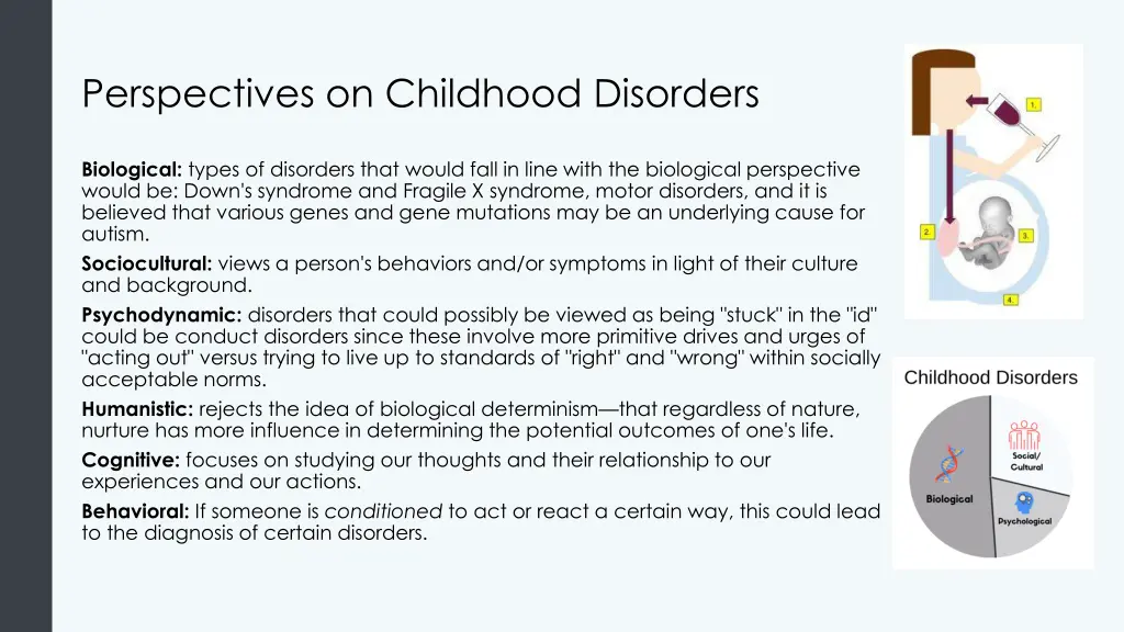 perspectives on childhood disorders