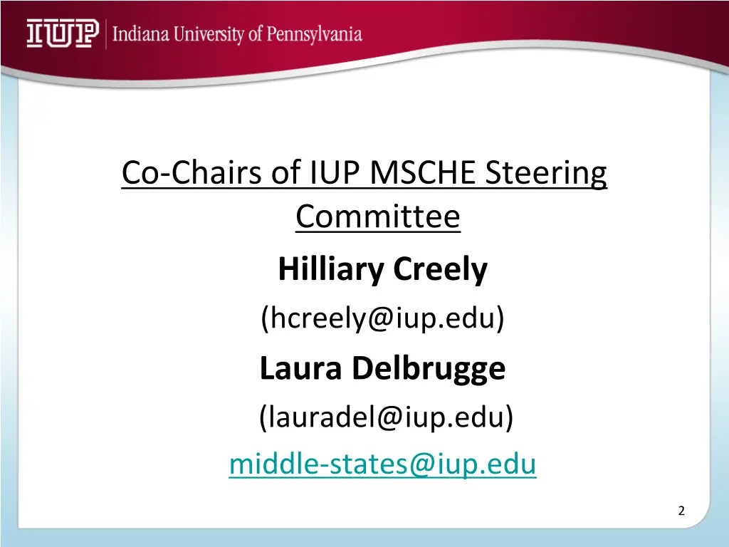 co chairs of iup msche steering committee