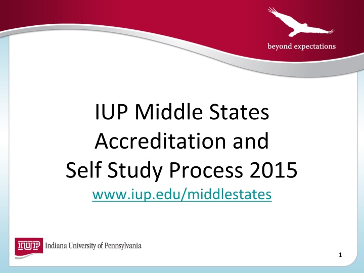 iup middle states accreditation and self study