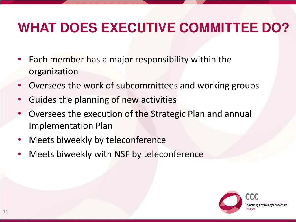 what does executive committee do