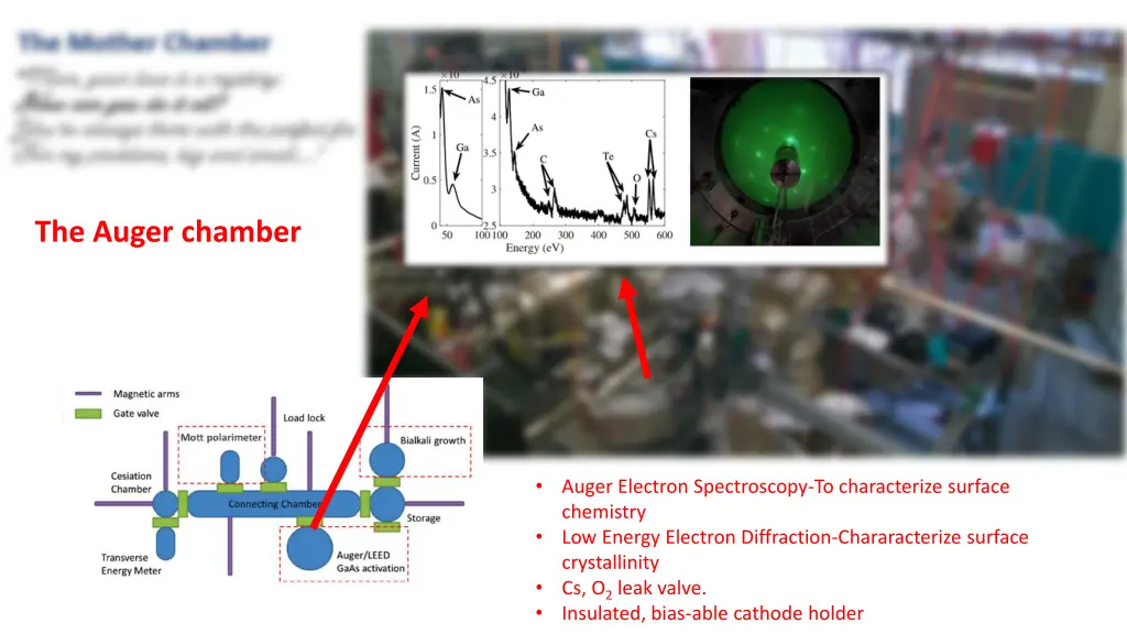 the auger chamber