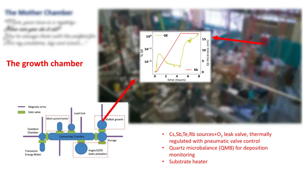 the growth chamber