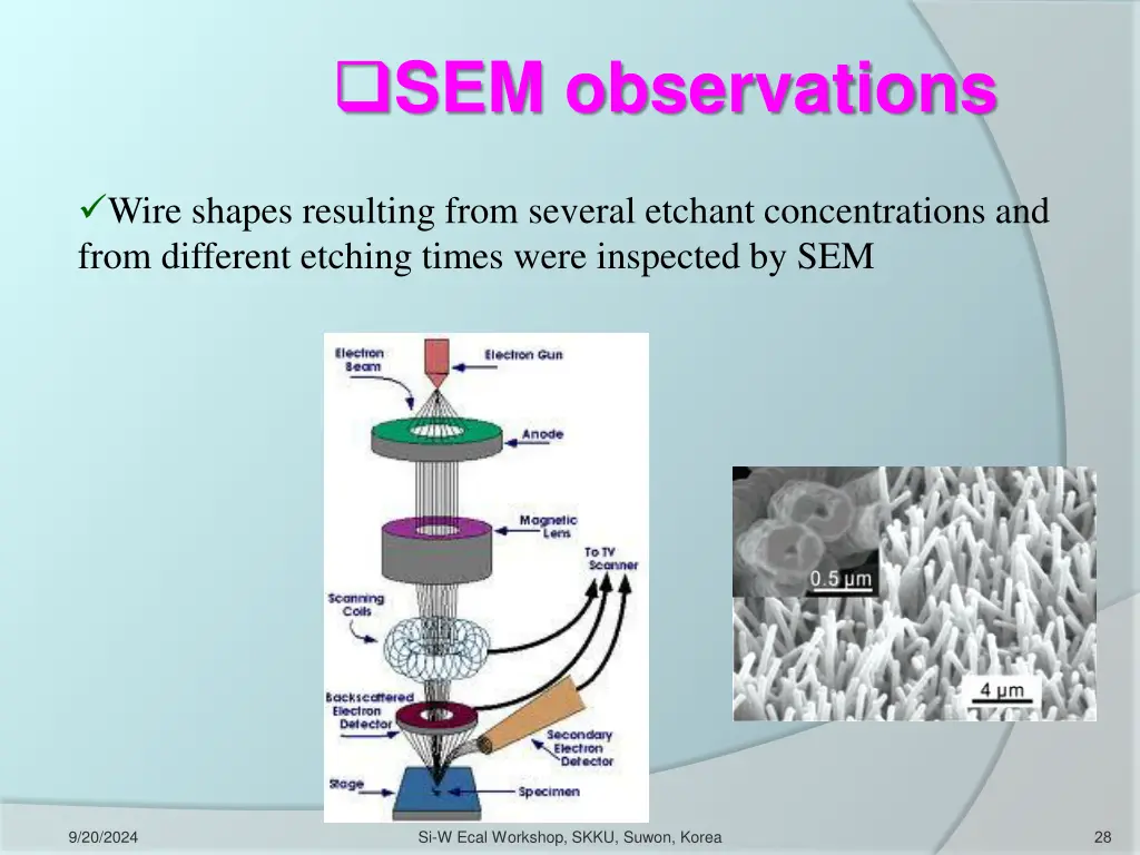 sem observations