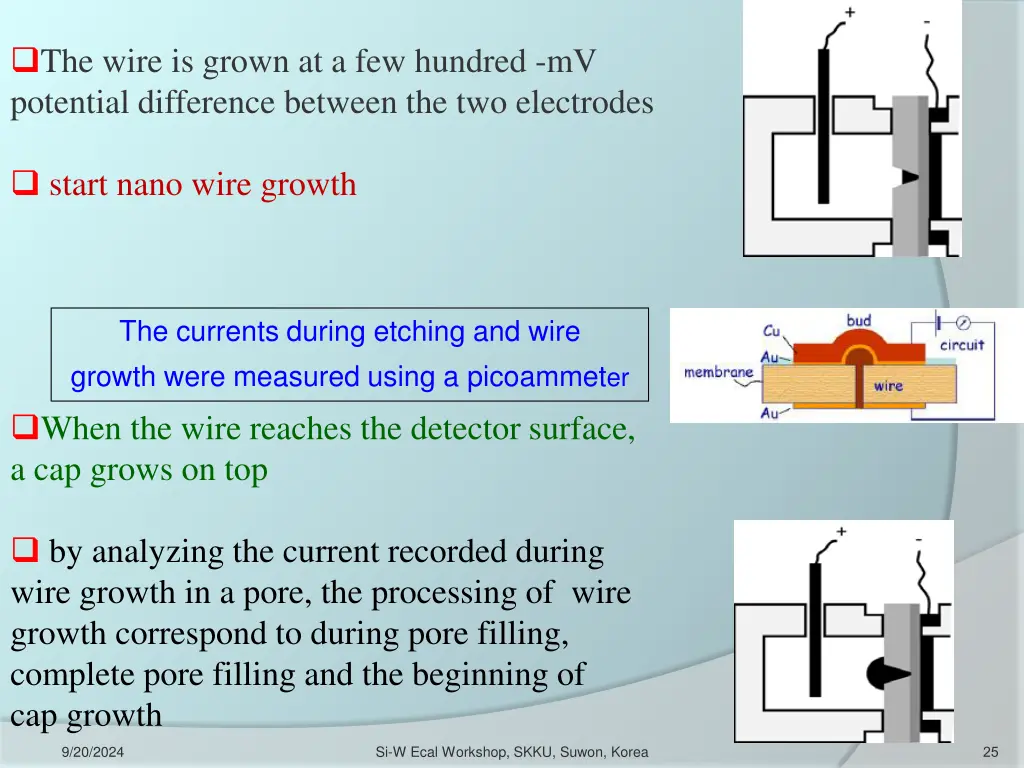 the wire is grown at a few hundred mv potential