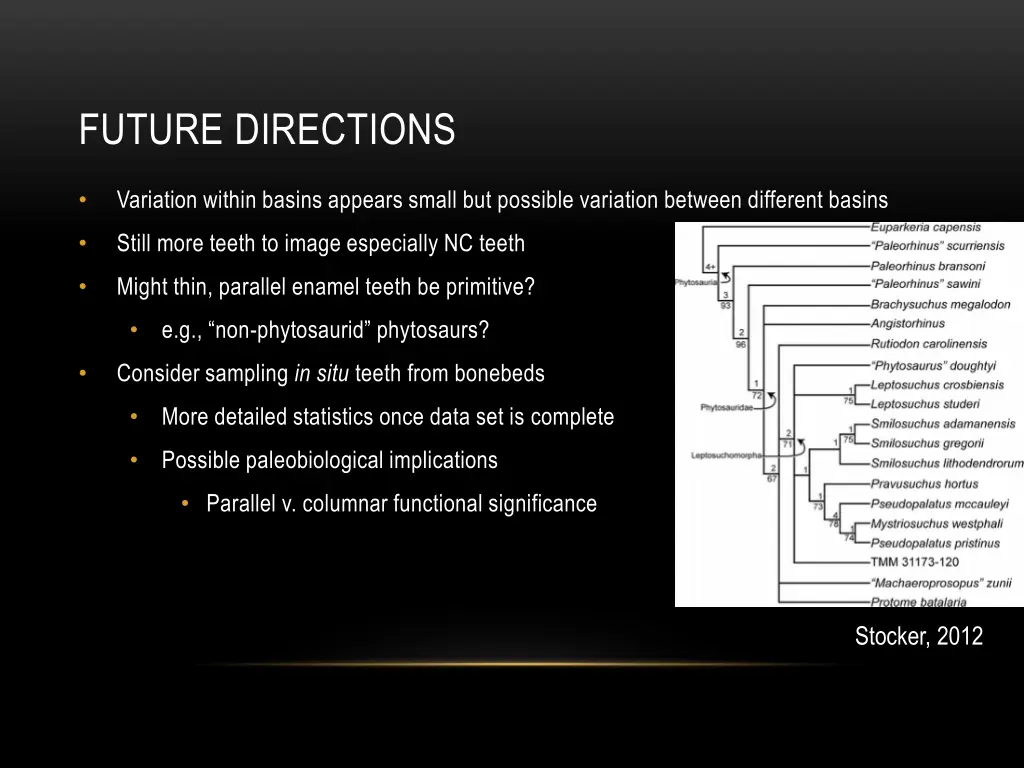 future directions