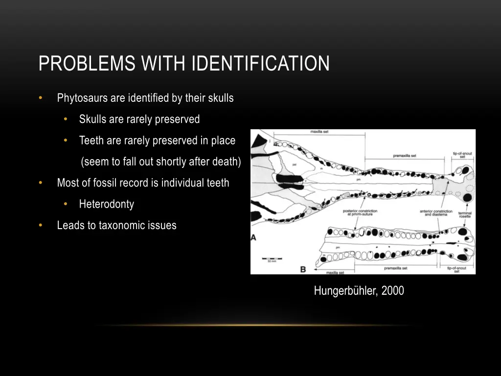 problems with identification