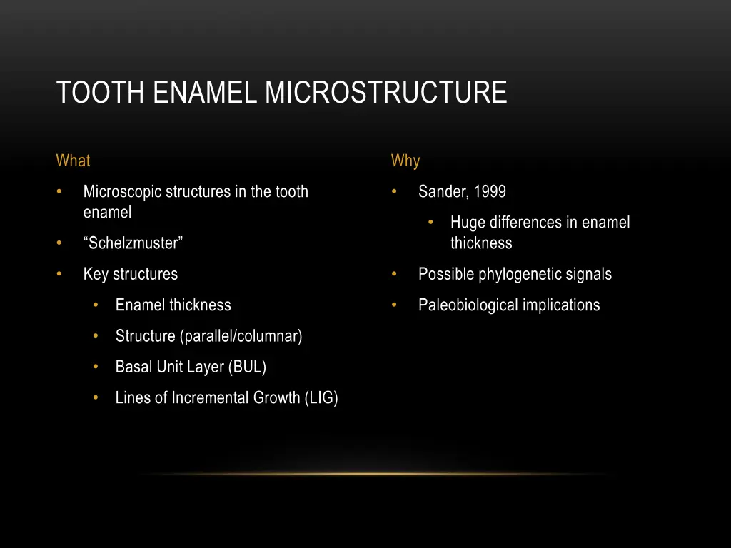 tooth enamel microstructure