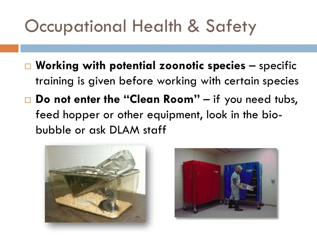 occupational health safety 1