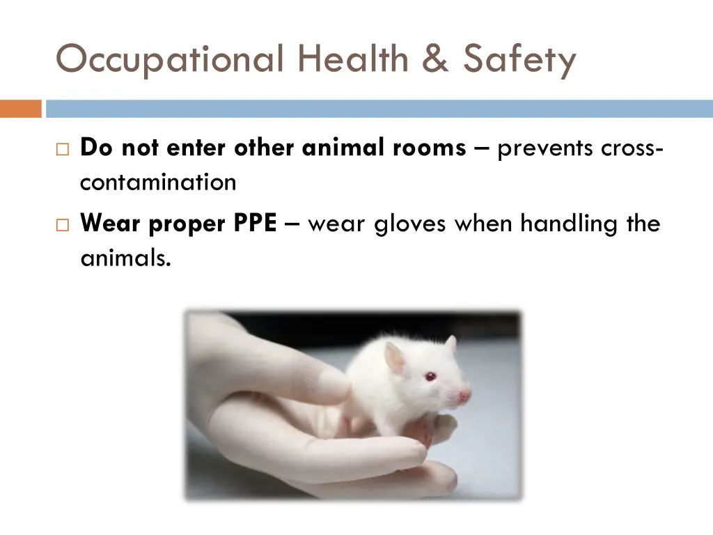 occupational health safety