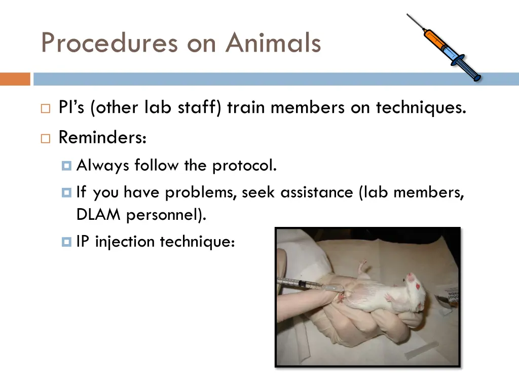 procedures on animals