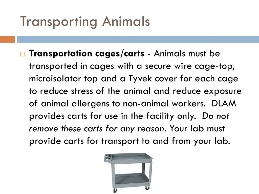 transporting animals 1