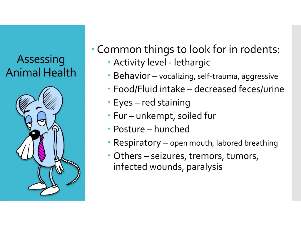 common things to look for in rodents activity