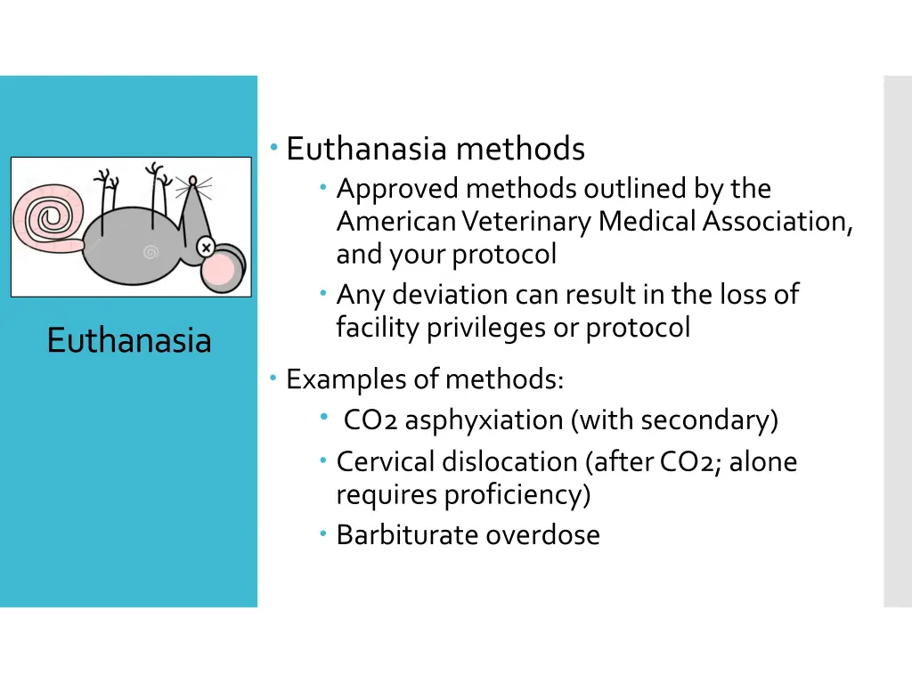 euthanasia methods approved methods outlined