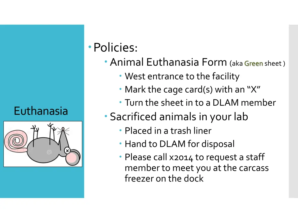 policies animal euthanasia form aka green sheet